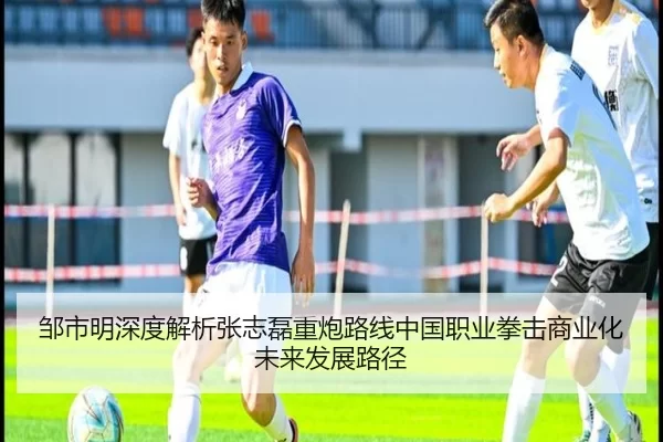 邹市明深度解析张志磊重炮路线中国职业拳击商业化未来发展路径